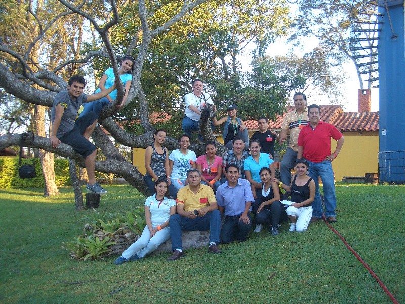 Curso: Cuerdas Bajas